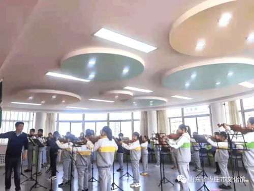 2021年度藝術(shù)進(jìn)校園器樂(lè)輔導(dǎo)課程